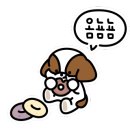 숙이네왕냉면 이미지