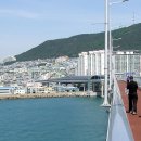 남항대교 이미지