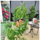 가든키친(Garden Kitchen) 이미지