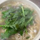 동죽손칼국수