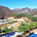 용평관광단지 이미지