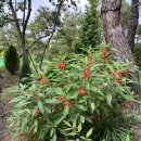 도림농장 이미지