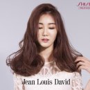 장루이다비드(Jean Louis David) 로고