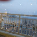 하오쿠 | 송정 애견까페 하오쿠