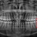 박현수치과의원 이미지