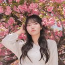 솜스냅 | [내돈내산] 서울 겹벚꽃 스냅 촬영은 '솜포토' 인생샷 건진 후기 (솜작가님 최고!)