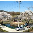 면천초등학교 이미지