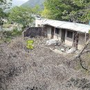 지산리 펜션 이미지