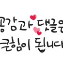 썬더치킨(서동점) 이미지