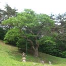 법흥사징효국사부도 이미지