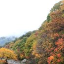 지리산둘레길민박 이미지