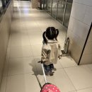 장생포야구장(평일) | 아기랑 서울여행 | 서울 은평구 진관동 실내 키즈파크 볼 베어 파크 은평점