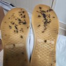 재현세탁 이미지