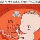 장산공원 이미지