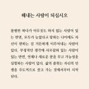 카페시적허용 | 닿지 않아도 상관없어