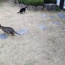 녹색향기 펜션 이미지