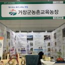 거창굼벵이곤충교육농장