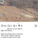 금강정 | 영월 당일치기 | 단종 유배지, 청령포. 배 타는 법, 단종어소 내부, 영월 가볼만 한 곳, 맛집 추천 등