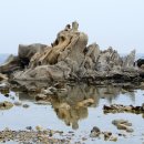 노마드인 강릉 이미지