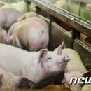 국립축산과학원 난지축산연구소 이미지