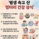 엉터리네 Daum카페