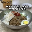 청량리20 | 매운 냉면 성지 20년 단골 청량리 할머니 냉면 후기