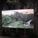 사진전시 이미지