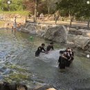 포레스트벨리캠프 이미지