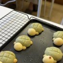 포뇨솜공방
