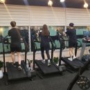 현 피티샵 이미지