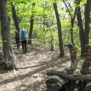 주남마을길 이미지