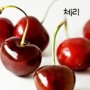 베스트과일