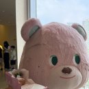노티드 잠실롯데월드몰