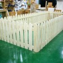 애견#(샾) 이미지