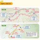 탑정리마을 | 구례 산수유 축제_ 구례 산수유 마을 개화 상황, 주말 방문 후기와 팁