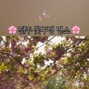 완산-124 이미지