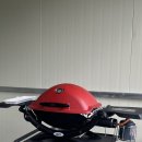 스테이 호은 이미지