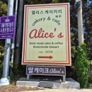앨리스상점 | 서귀포 케이크 맛집 앨리스케이커리 망고쌀케이크...얼그레이티 솔직후기 인생 망고케이크 인생 바닐라...