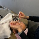 더라움의원 이미지