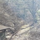 돼지골 뜨란 Daum카페