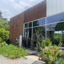 소풍길 들꽃산책 | 양평 가볼만한곳 추천, 5,000평 꽃길 산책 가능한 정원 카페 소풍 후기