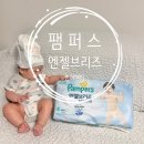퍼스퍼트 | 5개월 아기 팸퍼스 엔젤브리즈 썸머팬티 사이즈 추천