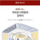 (통합) 모찌님 꼬리잡고~♡ 다락방 강아지ㅋㅋ 이미지