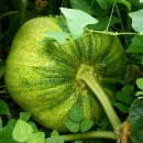 아름농장 이미지