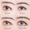 맑은눈안경 효자점 이미지