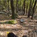 사계절환경 이미지