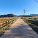 복내5일시장 이미지