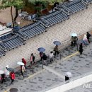 돌담길 이미지