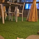 이마트 앞 이미지