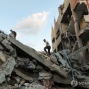 골몰농장 이미지